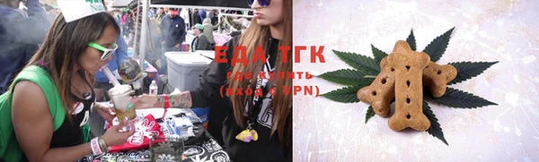 тгк Новозыбков