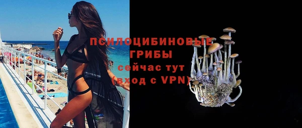 мяу мяу мука Новодвинск