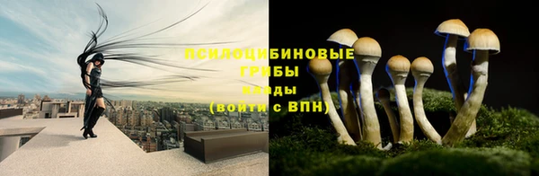 тгк Новозыбков