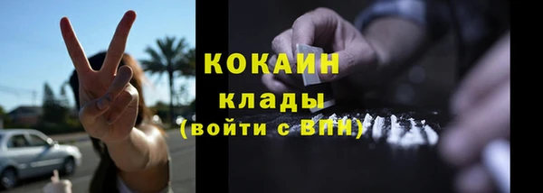мяу мяу мука Новодвинск