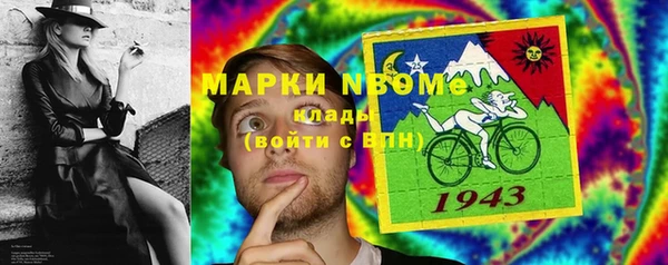 тгк Новозыбков