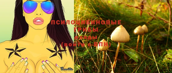 тгк Новозыбков