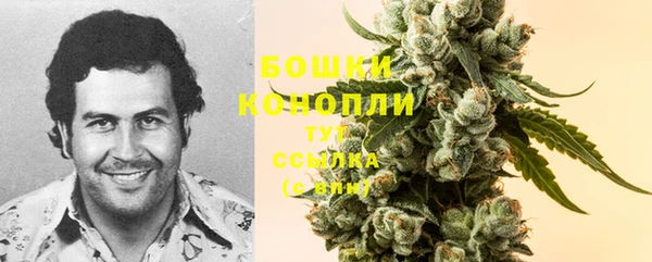 тгк Новозыбков