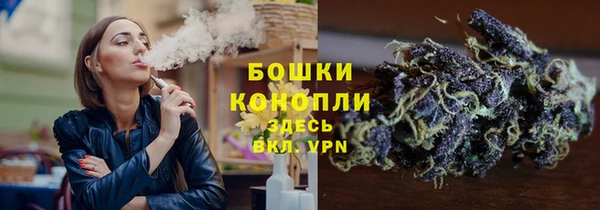 тгк Новозыбков