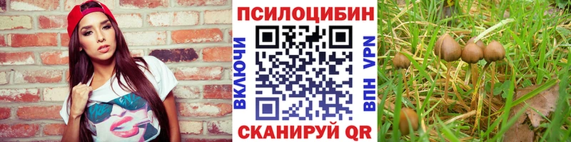Псилоцибиновые грибы мицелий  где найти наркотики  Чебаркуль 