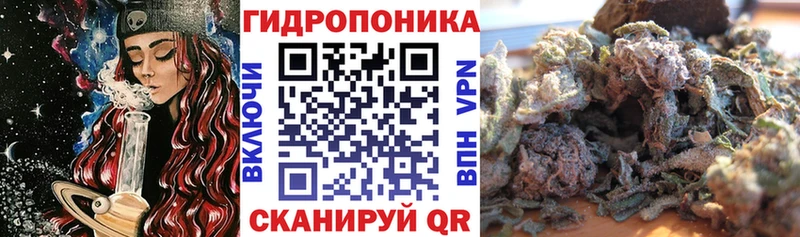 OMG ТОР Чебаркуль МАРИХУАНА Amnesia