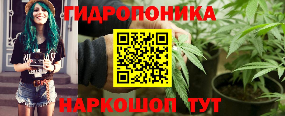 Конопля SATIVA & INDICA  Шишки марихуана ГИДРОПОН  Чебаркуль  Бошки марихуана планчик  Вход с VPN  Каннабис гибрид 